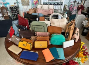 client photo variety of bags